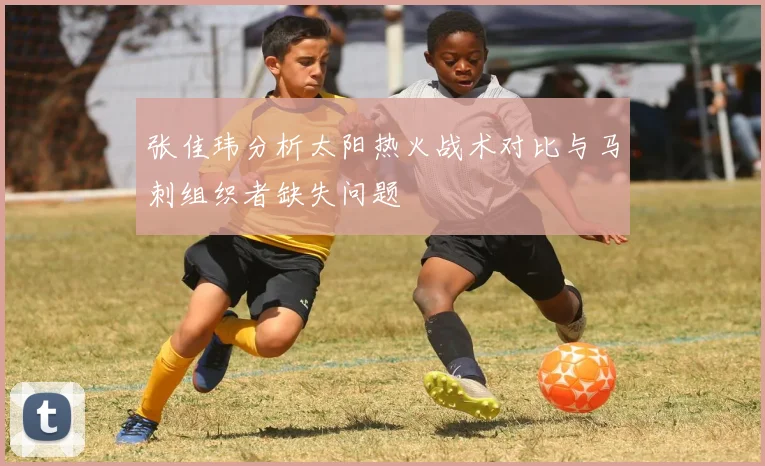 张佳玮分析太阳热火战术对比与马刺组织者缺失问题
