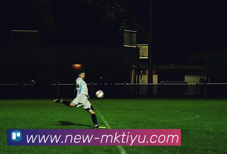 MK体育APP 封面图